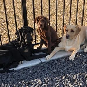 Meet your Posher, Tammy kevin